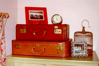 luggageforweb